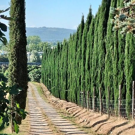 Villa Camugnano Farm à Rapolano Terme Extérieur photo